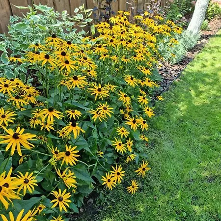 W Nartach - Mazury Feriehus