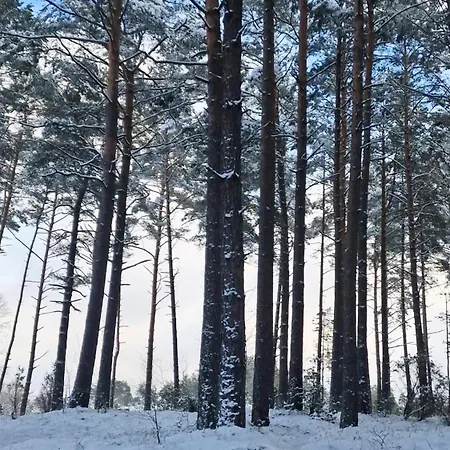 W Nartach - Mazury Feriehus