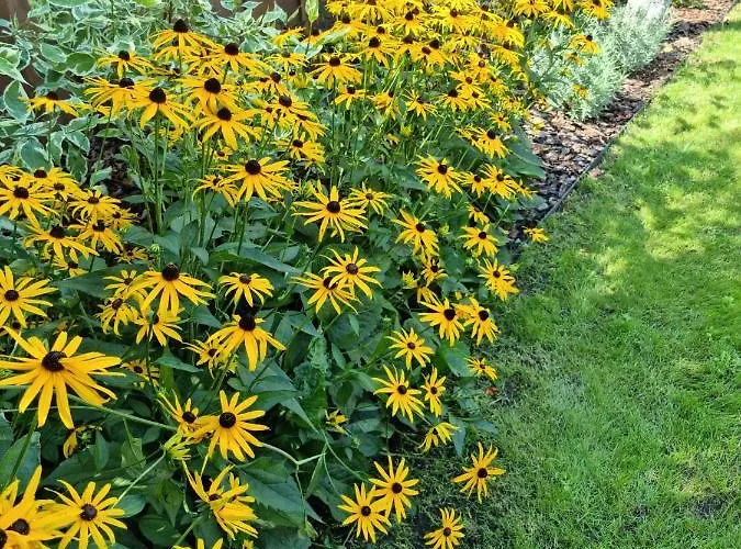 W Nartach - Mazury Holiday home