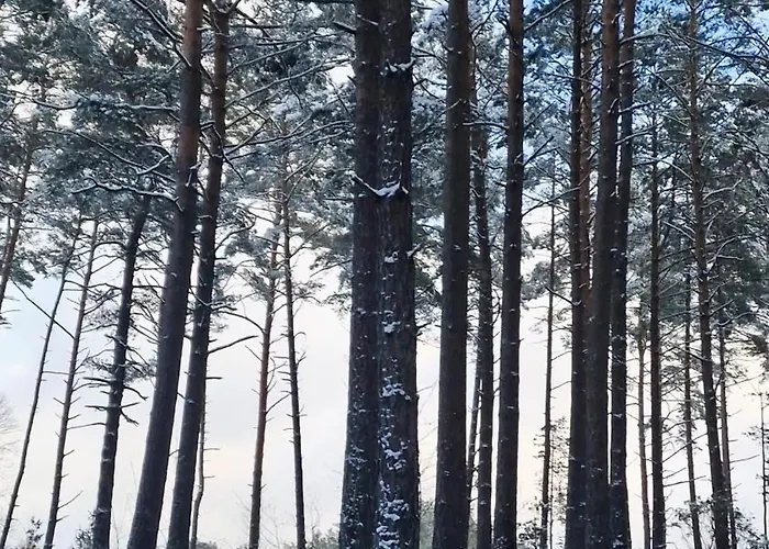 W Nartach - Mazury Holiday home